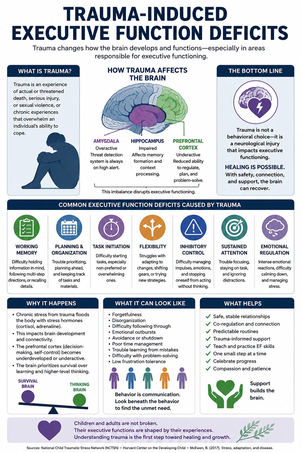 NBEFC trauma informed coaching certification program for coaches working with trauma-affected clients